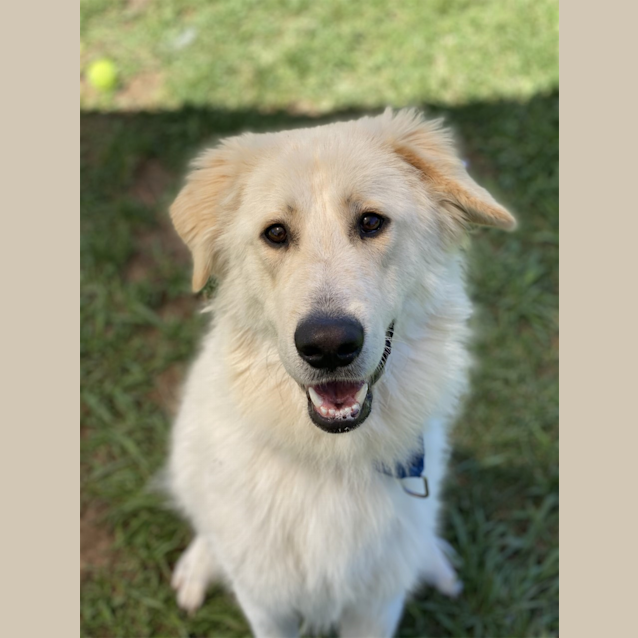 Photo of Odin