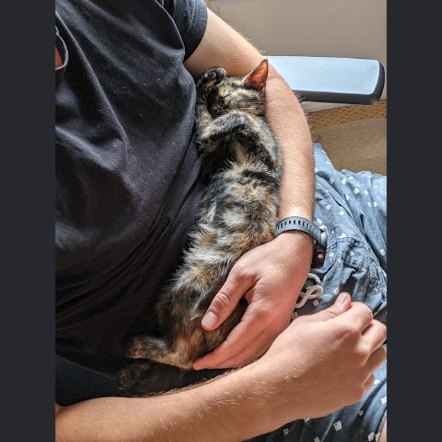 Photo of Lyra