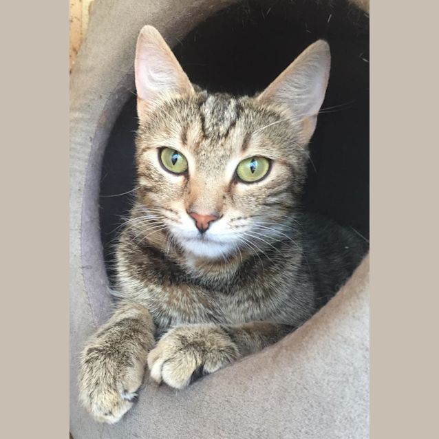 Photo of Caitrin Mchissy