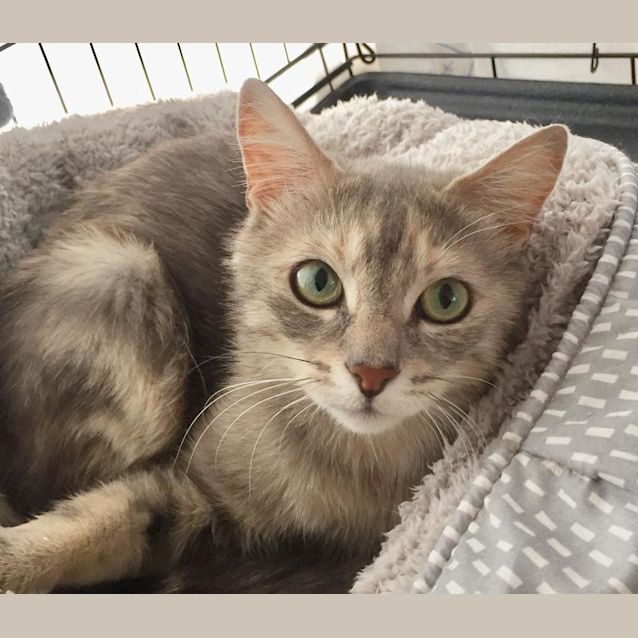 Photo of Miss Briggs Smooch