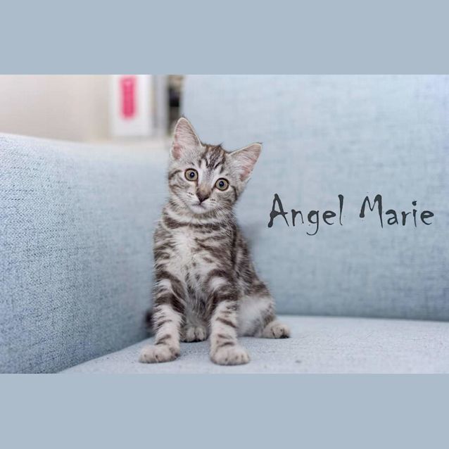Photo of Angel Marie