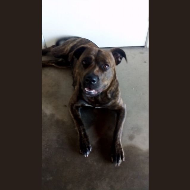 Photo of Zorah