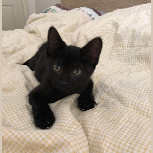 Photo of Amara 