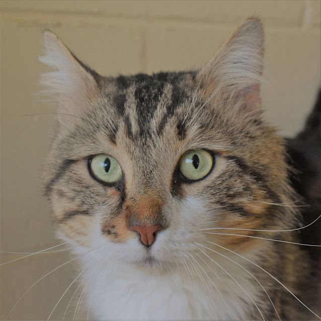 Photo of Clive 