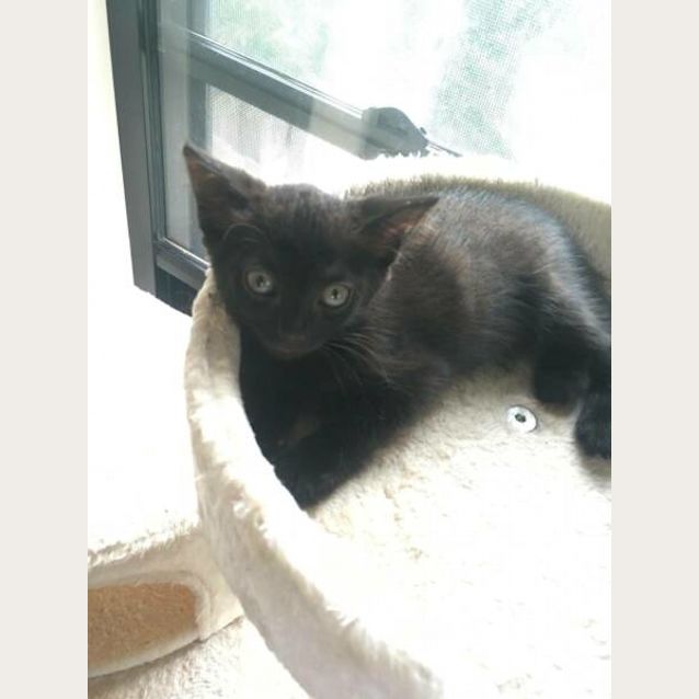 Photo of Winter