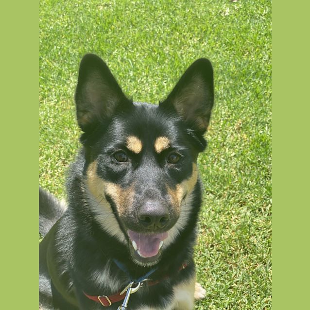 Photo of Lexi