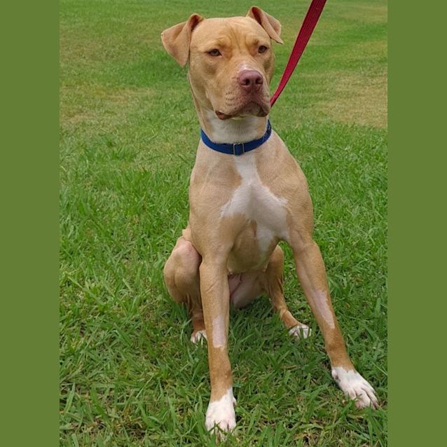 Photo of Stormy