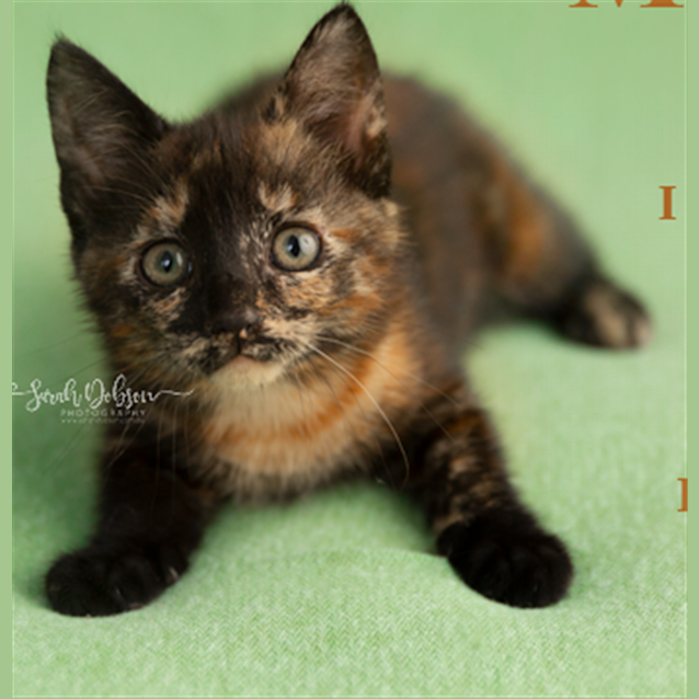 Photo of Miss Molly