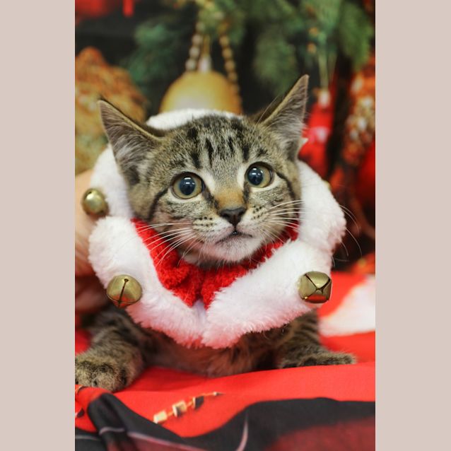 Photo of Molly