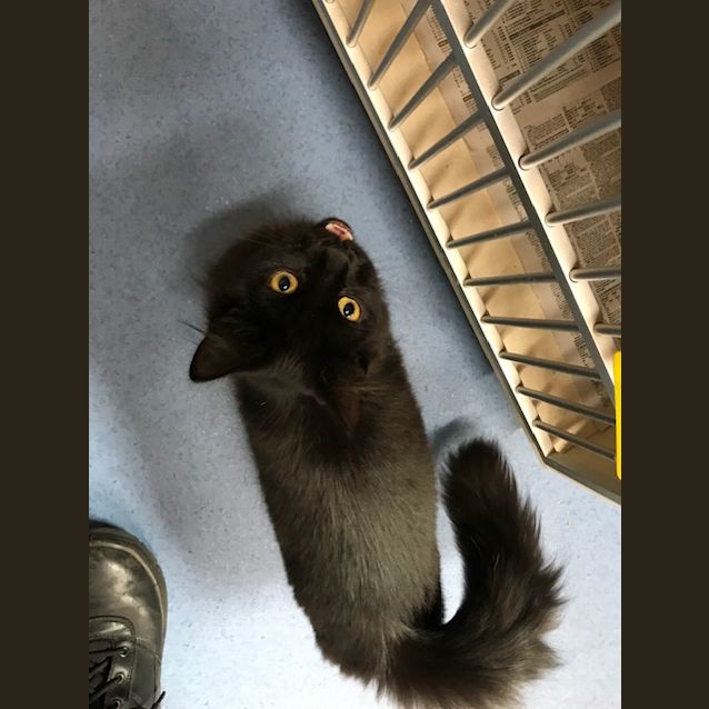 Photo of Doc