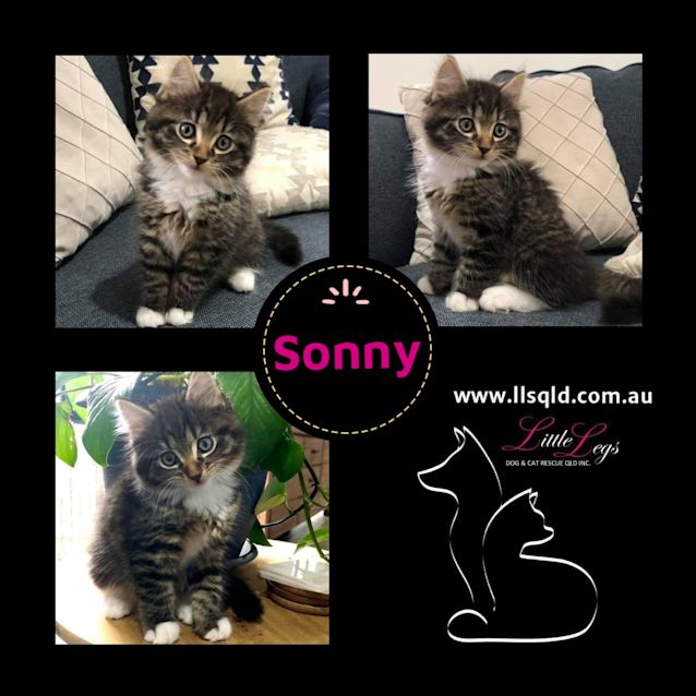 Photo of Sonny