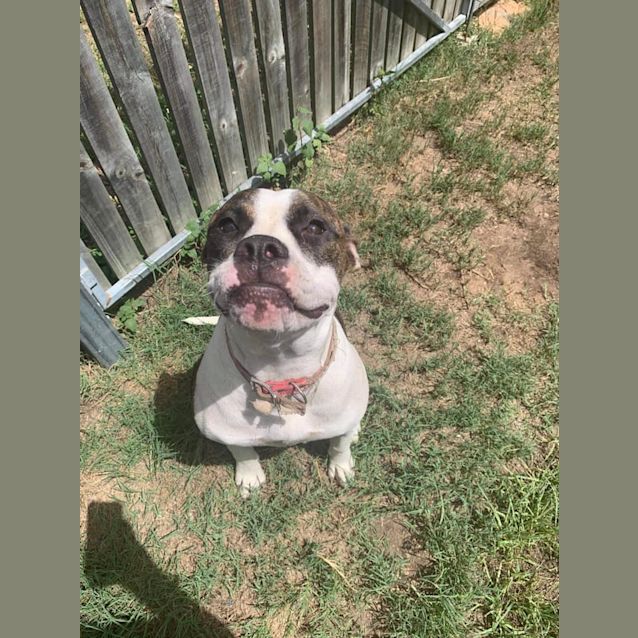 Photo of Lola