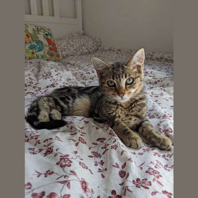 Photo of Hansel And Gretel