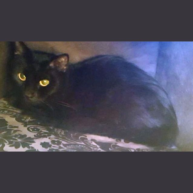 Photo of Miss Molly