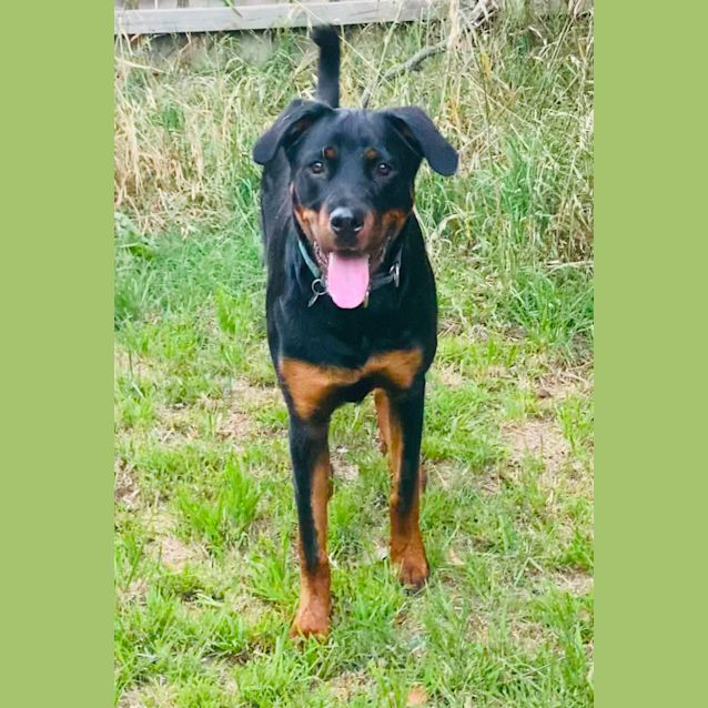 Photo of Jax