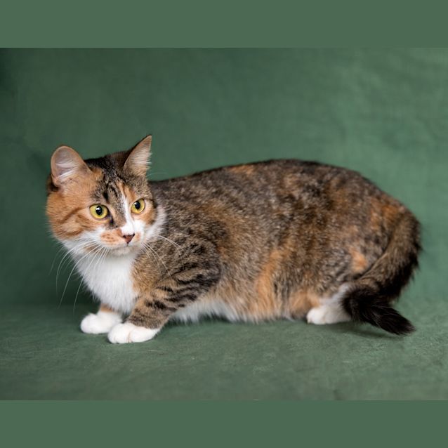 Photo of Miles + Saffron 