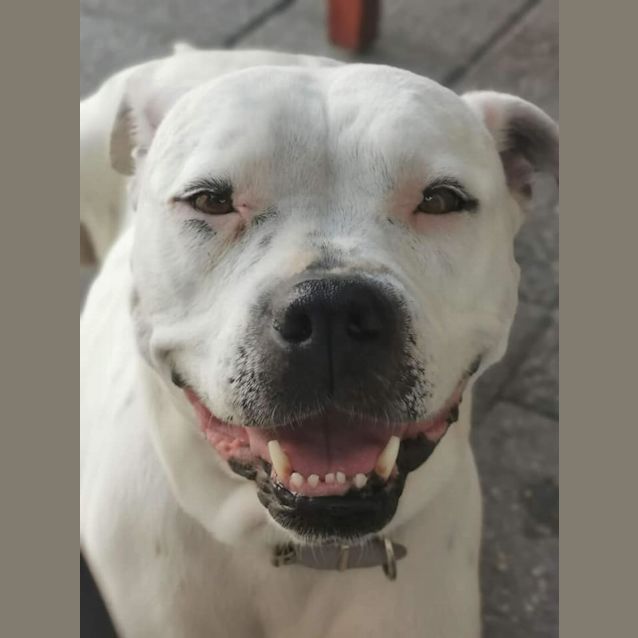 Photo of Xenah Dl2539