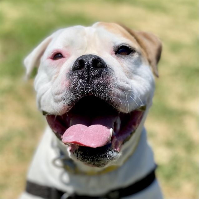 Photo of Darla
