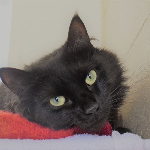 Photo of Mavis 