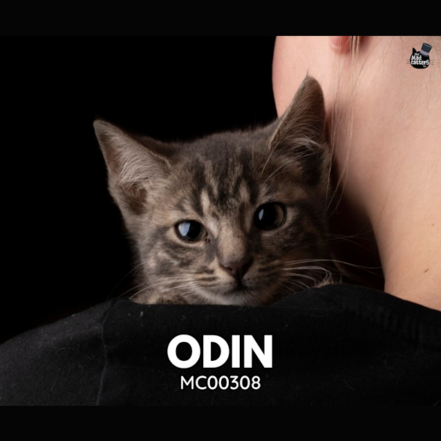 Photo of Odin