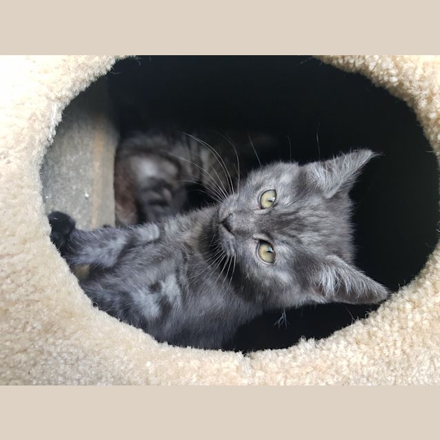 Photo of Charlie