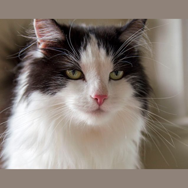 Photo of Demeter
