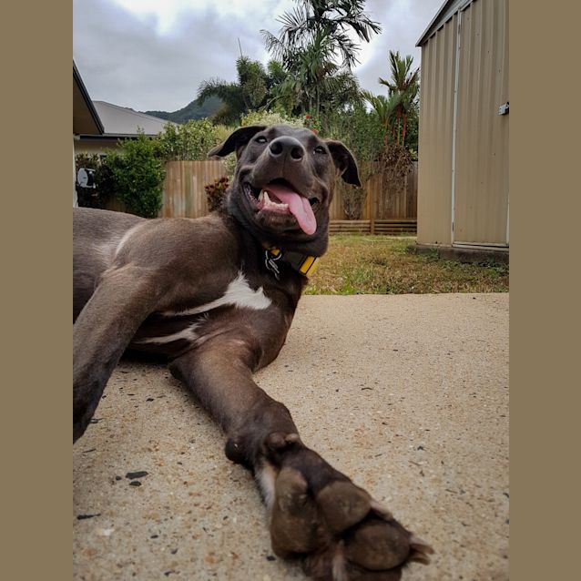 Photo of Pepper