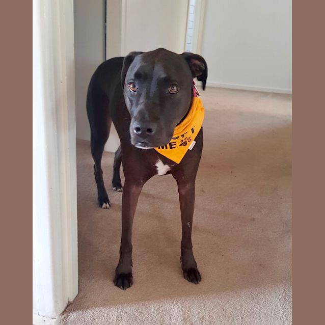 Photo of Annie