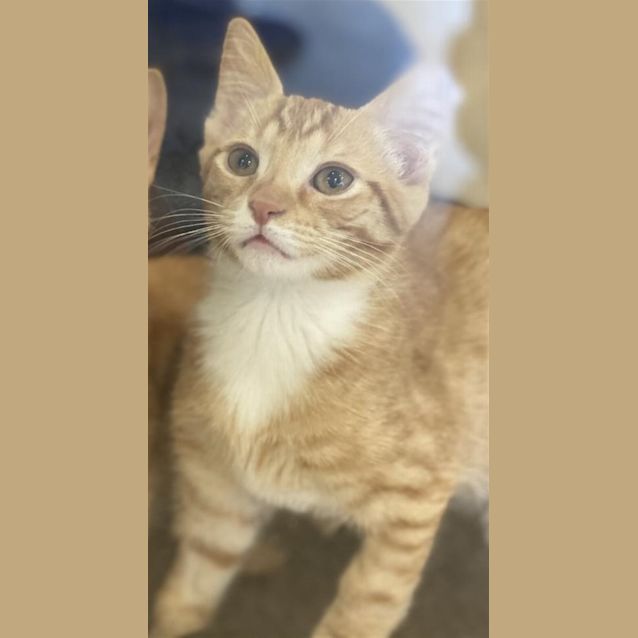 Photo of Duke
