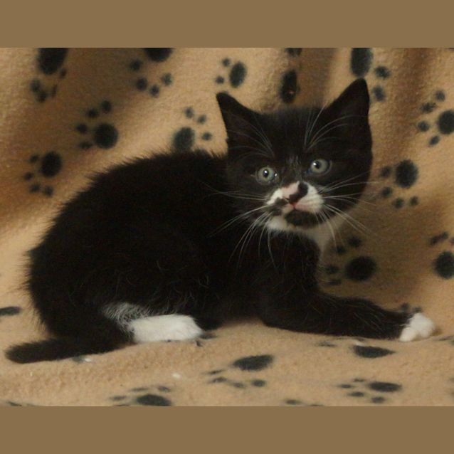 Photo of Elwood