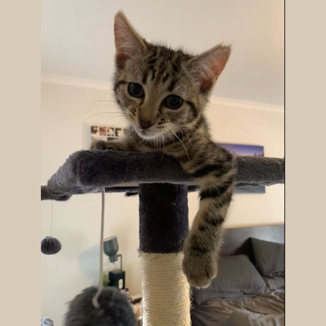 Photo of Emily
