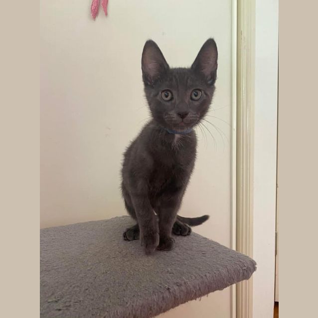 Photo of Flynn 