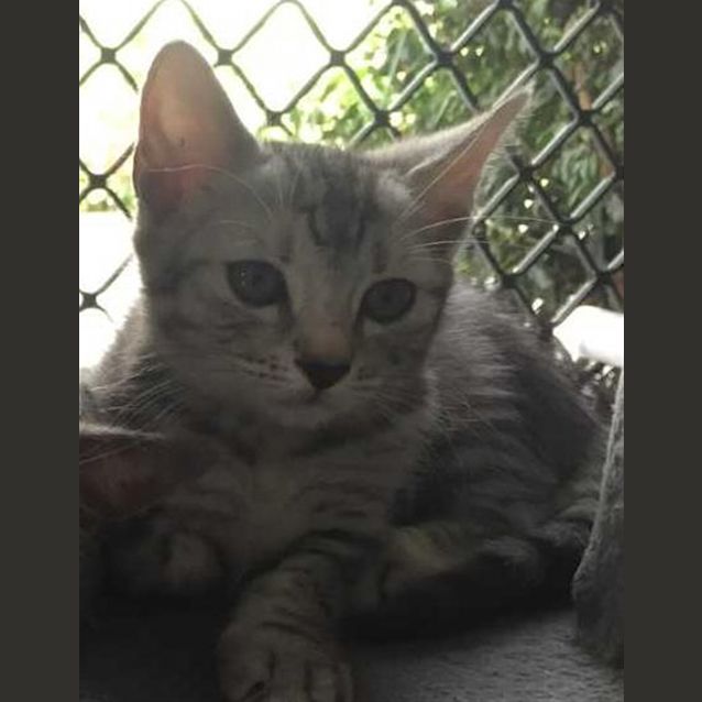 Photo of Pearle