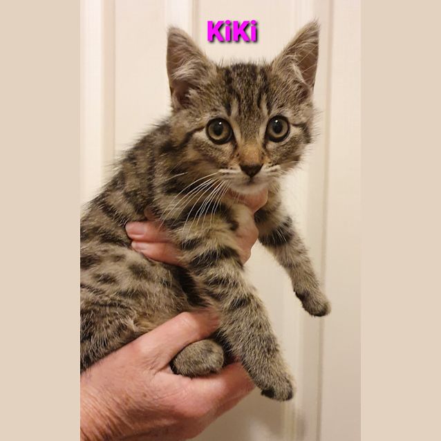 Photo of Ki Ki