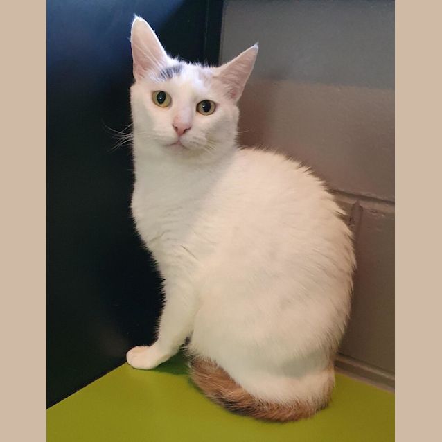 Photo of Quinnie