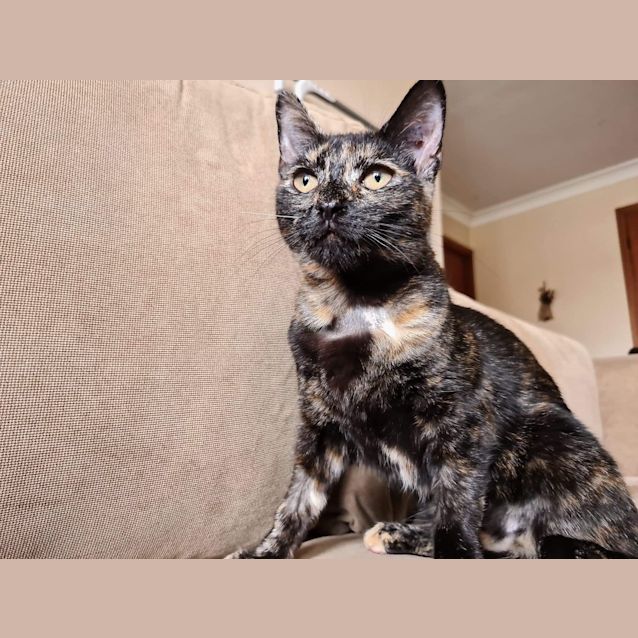 Photo of Kitana 😽❤️