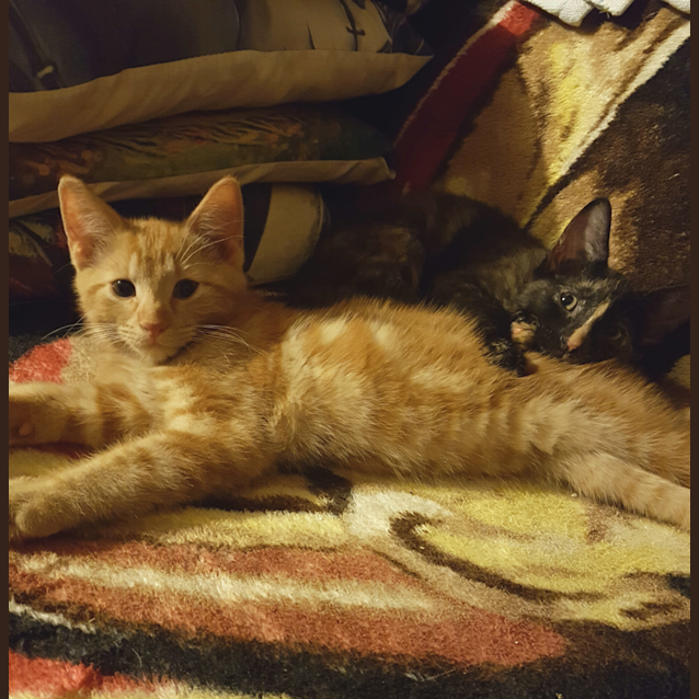 Photo of Louis ☀️