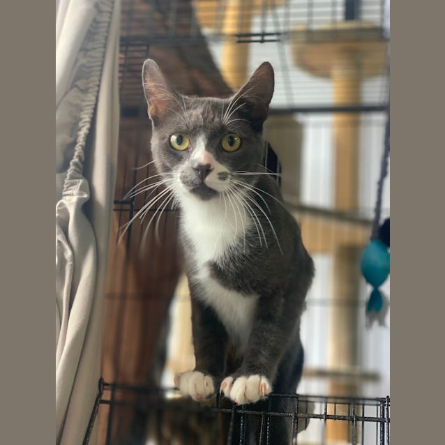 Photo of Tom & Jerry