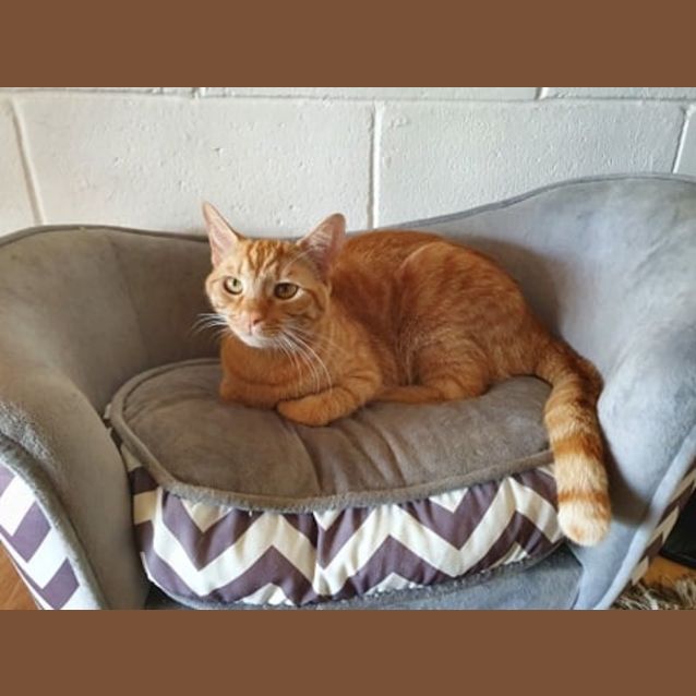Photo of Lloyd 
