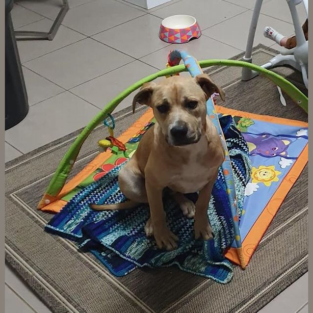 Photo of Bella Dl2594