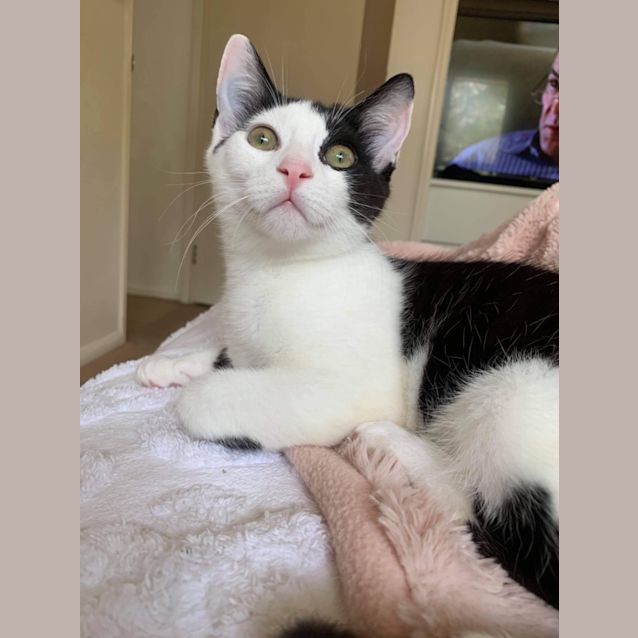Photo of Hermes