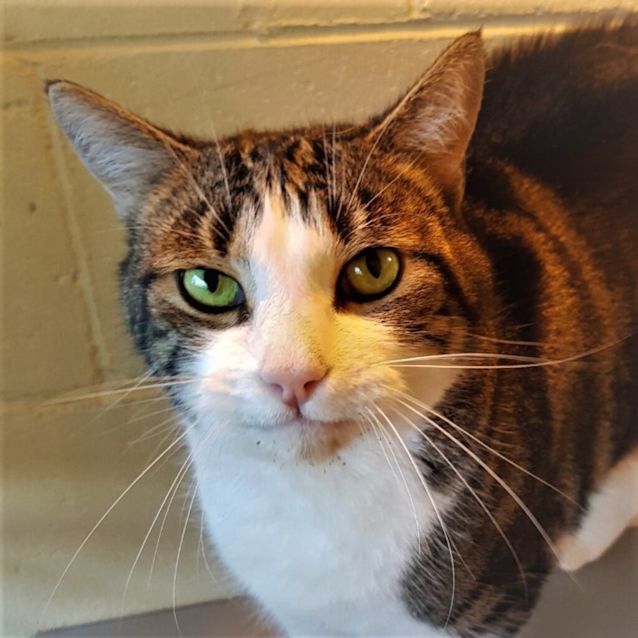 Photo of Boots