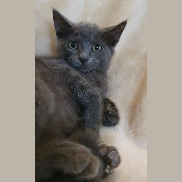 Photo of Hudson