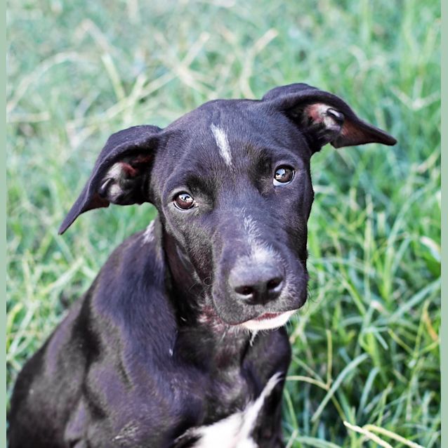 Photo of Sally