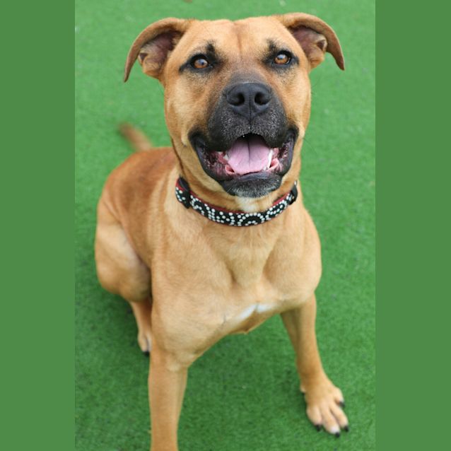 Photo of Zeke