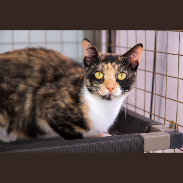 Photo of Jazz   Was Meewaw 