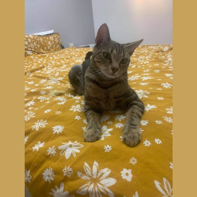 Photo of Fran
