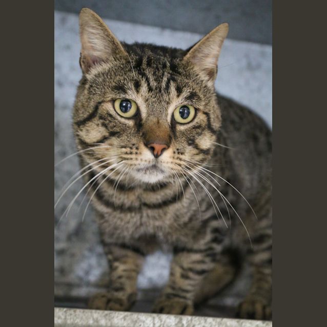 Photo of Monty