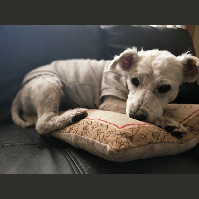 Photo of Edison