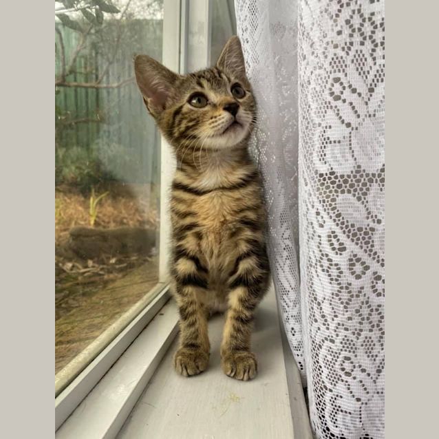 Photo of Mojito